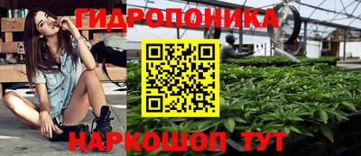 спиды Сланцы