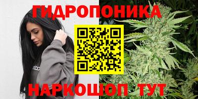 таблы Славгород
