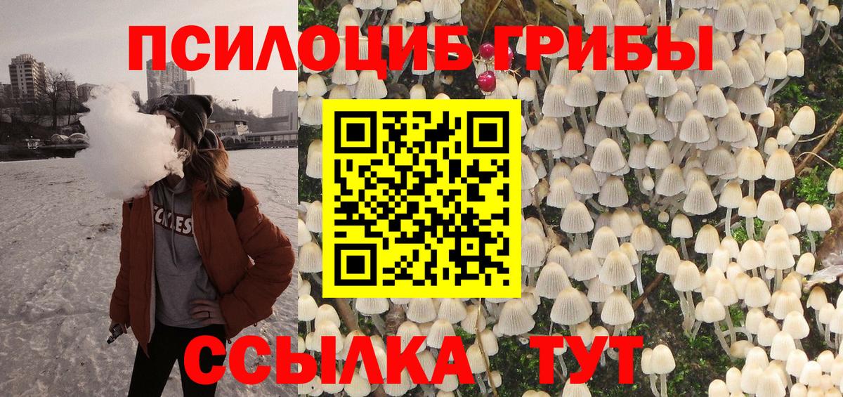 Псилоцибиновые грибы Cubensis Октябрьский