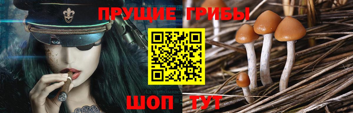 Галлюциногенные грибы мицелий  Вход с VPN  Октябрьский 