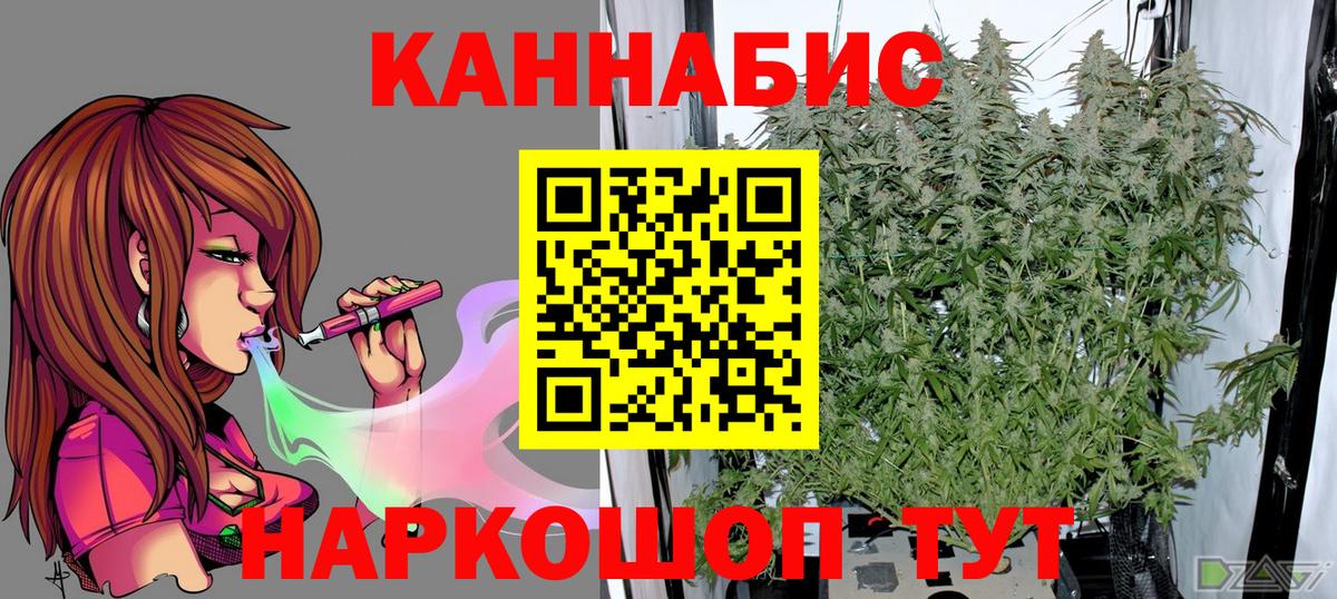 Конопля сатива Октябрьский